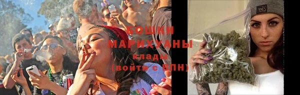 spice Гусев