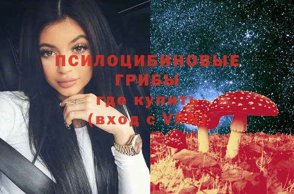 сатива Гусиноозёрск