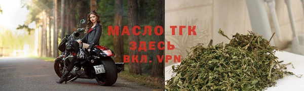 spice Гусев