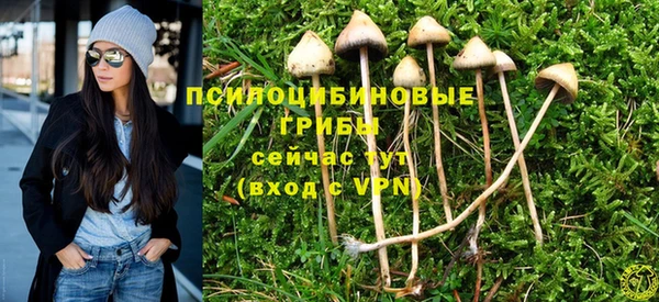 сатива Гусиноозёрск