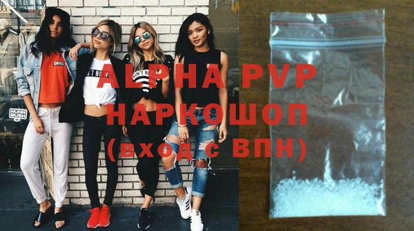 сатива Гусиноозёрск