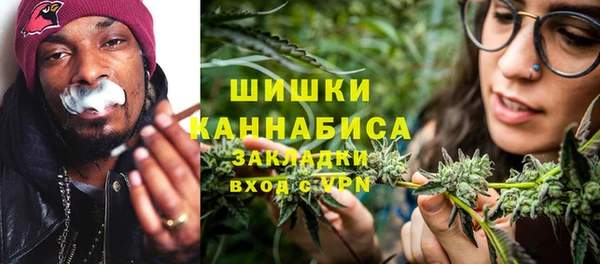 spice Гусев