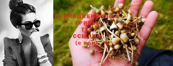 ALPHA PVP Горнозаводск