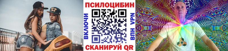 Купить где  Балтийск  Галлюциногенные грибы Cubensis 